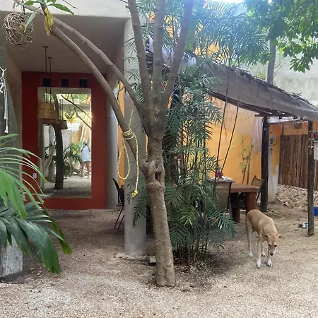 Quinta Salamandra