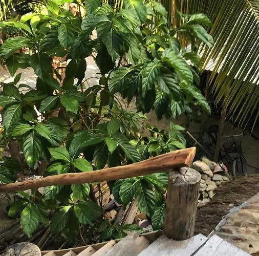Casa de hóspedes Quinta Salamandra