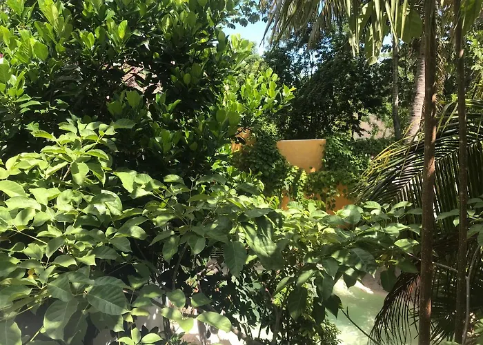 Quinta Salamandra 3*