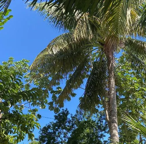 Casa de hóspedes Quinta Salamandra