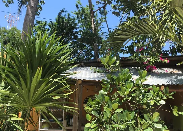 Quinta Salamandra Casa de hóspedes Playa del Carmen