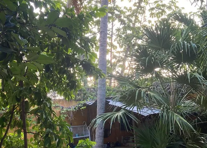 Quinta Salamandra Casa de hóspedes Playa del Carmen
