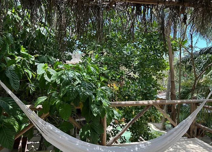 Quinta Salamandra 3*