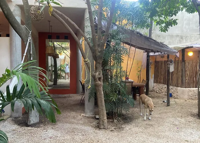 Quinta Salamandra 3* Playa del Carmen